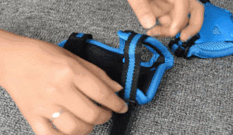 2.gif