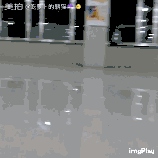 1.gif 1.gif