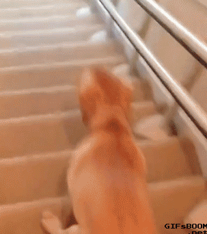 6.gif 6.gif
