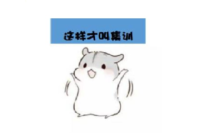 「SUSA 2017 自由式轮滑暑期集训营」重要公告！
