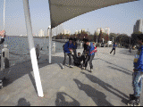 5.gif